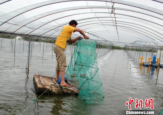 浙江象山大力发展家庭农场 创新农业生态循环