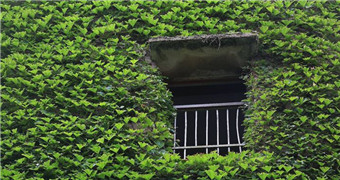 舟山最美无人村 今夏红得想静静都难