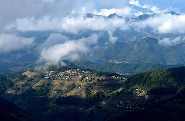 云南哀牢山,无量山国家级自然保护区冬日秀色