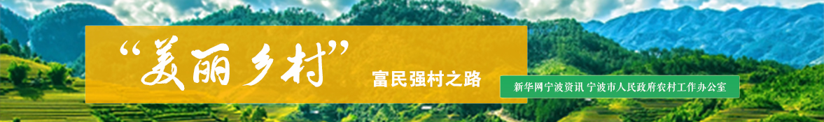 美丽乡村