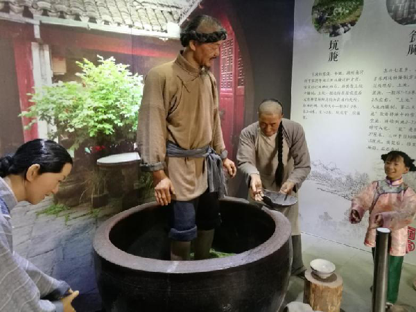 宁波雪菜：千年古法，香满天下
