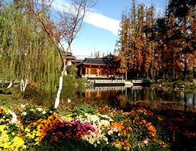 做强旅游节庆 西湖区“旅游休闲示范区”迎“秋收”