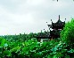 传统西湖一日游已经OUT 杭州24小时慢游指南发布